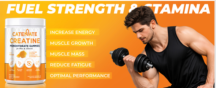 Screenshot 2026-02-17 153542