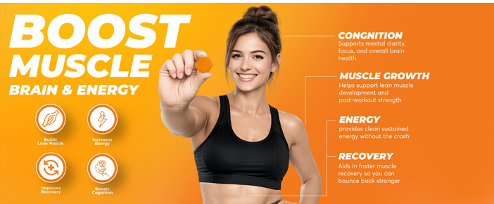 Screenshot 2026-02-17 153644